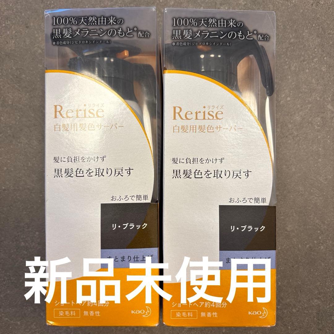 リライズ 白髪用髪色サーバー リ・ブラックまとまり仕上げ本体 2本