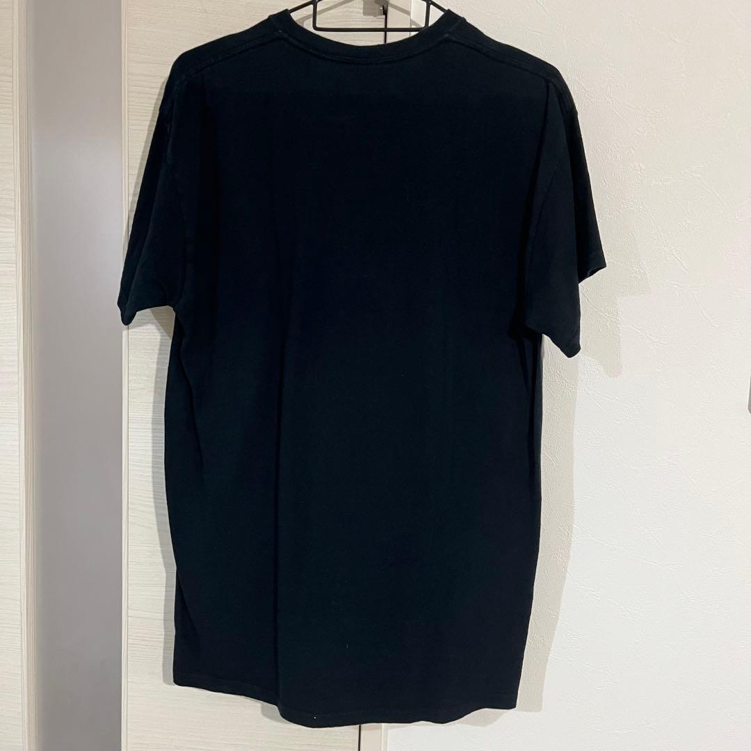 SUBLIME サンデザイン Tシャツ M 2006 - メルカリ