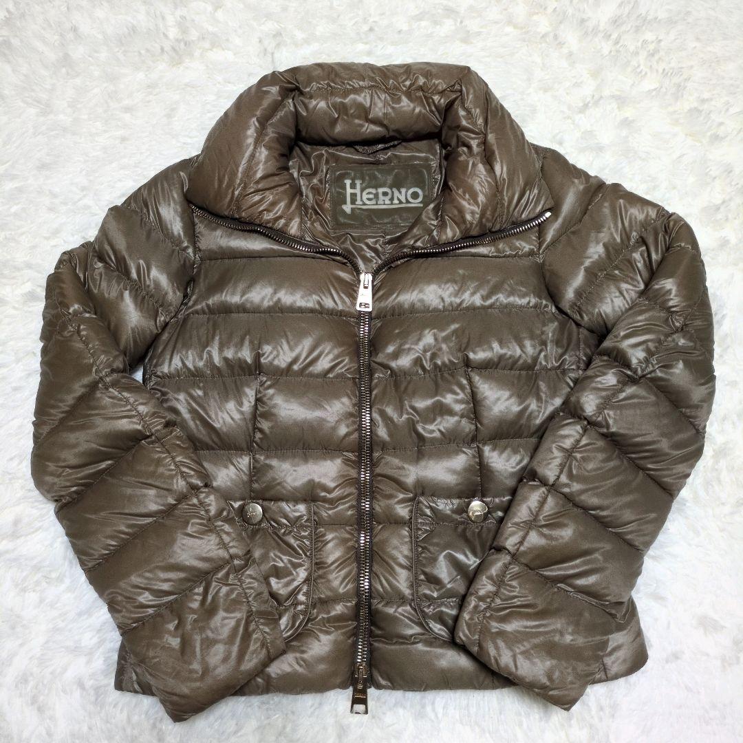HERNO　ヘルノ ダウンジャケット ジップアップ 42サイズ