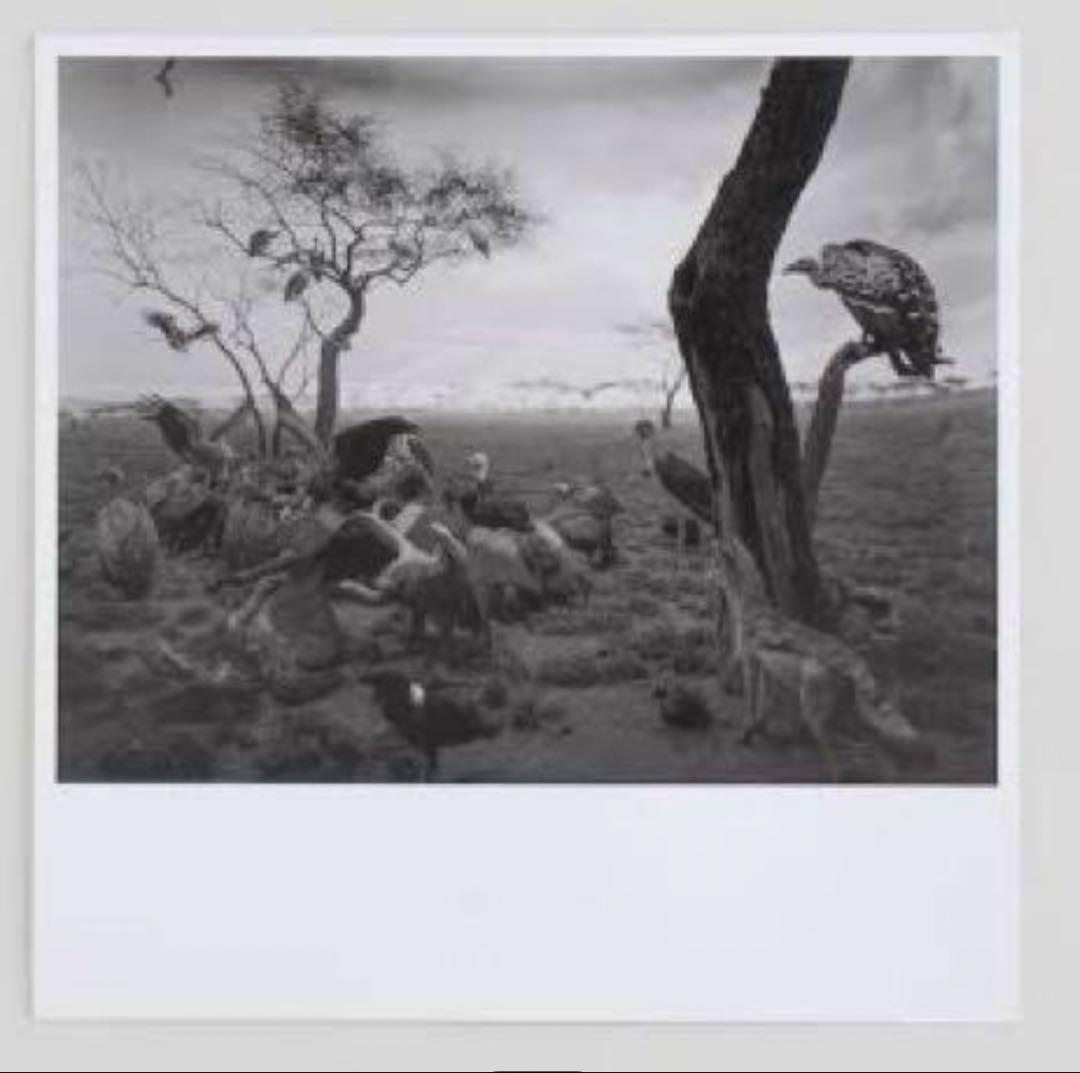 杉本博司ポスター