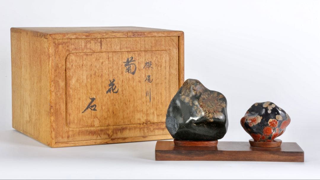 根尾川産 菊花石 二石組 台座 共箱付 鑑賞石 原石 天然石 盆石 飾石 美術品