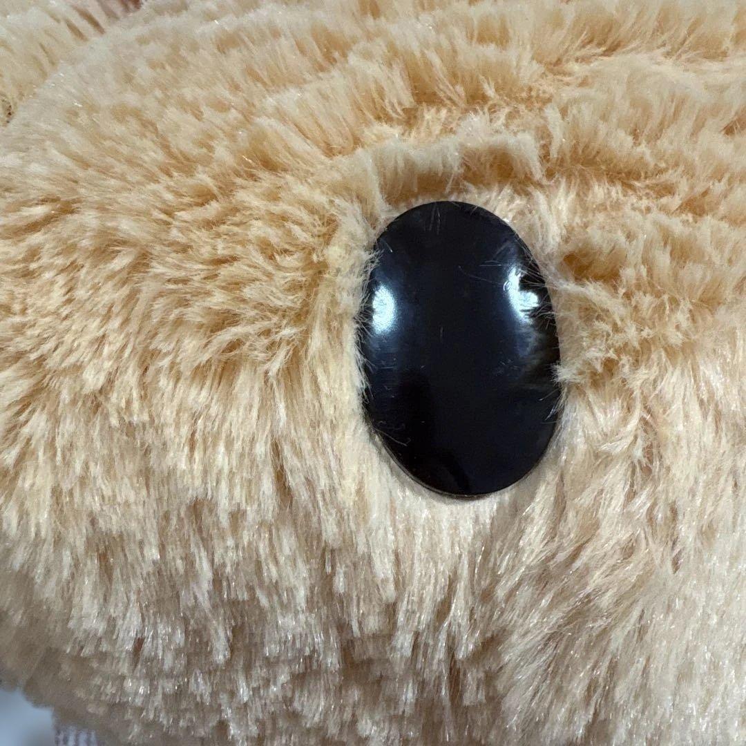 サンリオキャラクターズ シナモロール カフェカラーBIG ぬいぐるみ