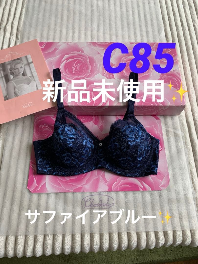 シャンデールサファイアブルーC85ブラジャー新品未使用