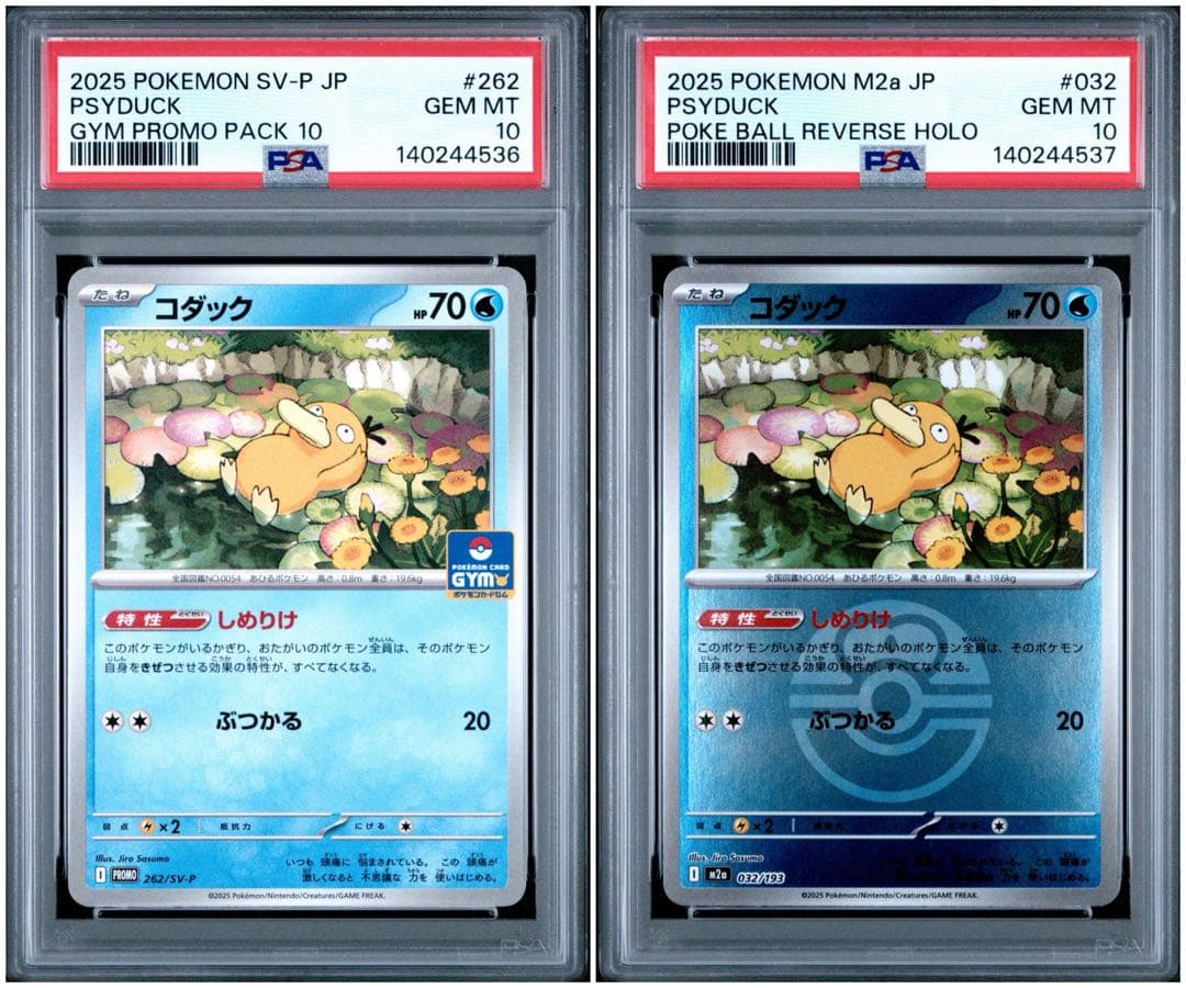 【PSA10】コダック 2連番 ジムプロモ オシャボミラー PSYDUCK 2026年最新】コダック psa10の人気アイテム - メルカリ