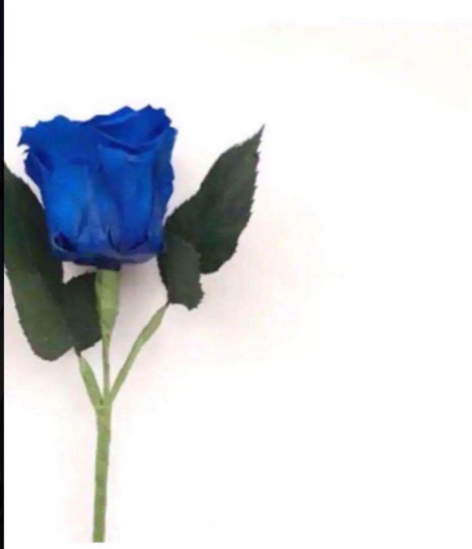 よるくま おまとめ