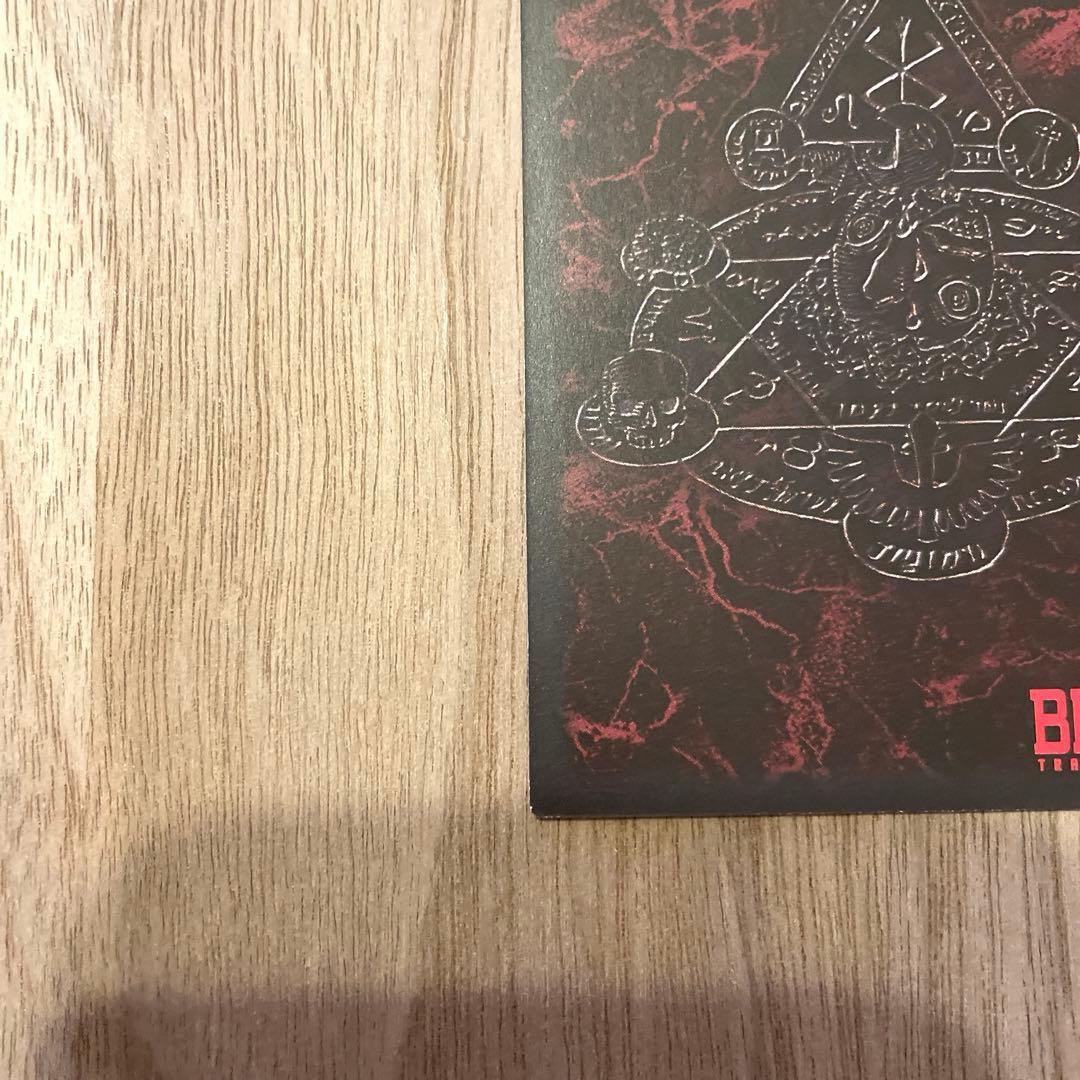 ベルセルク TCG 霧の谷 BK1 113/160 パラレルレア カード - メルカリ