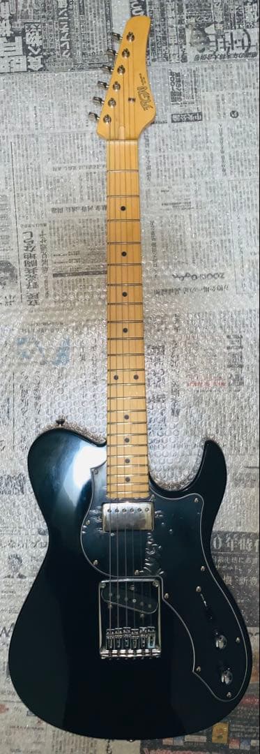 FUJIGEN【 BIL2-M-HS / BK / 01】テレキャスター