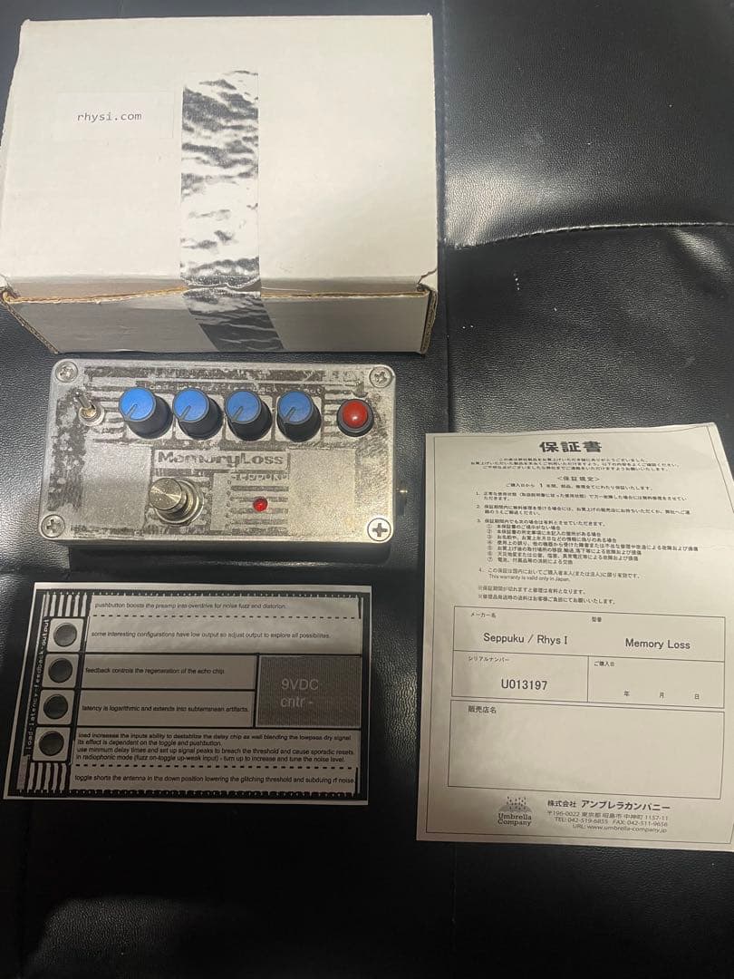 ギター seppuku Memory Loss