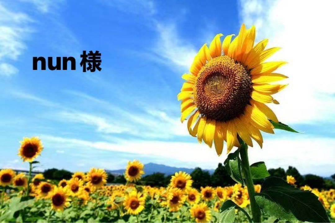 nun様