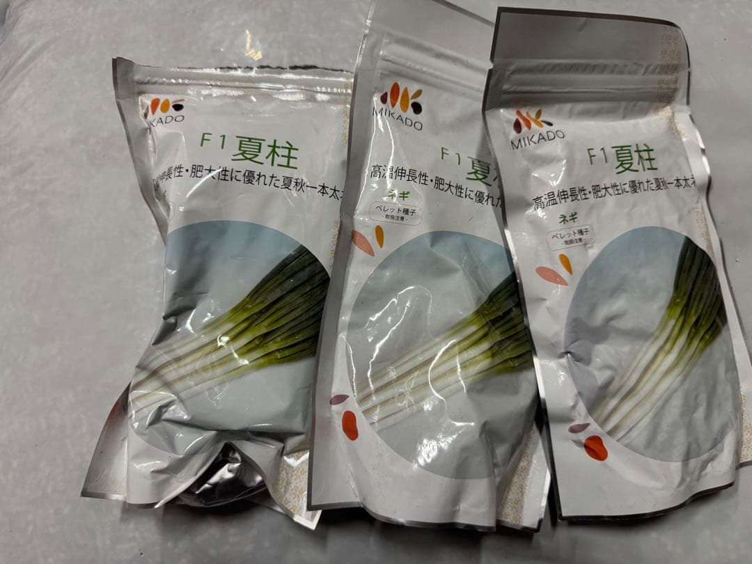 ネギ種子　夏柱　6000粒　有効期限26年９月 夏柱(MKS-N43)[ネギ]※次回入荷未定 - e-種や｜国内最大級の野菜種・花