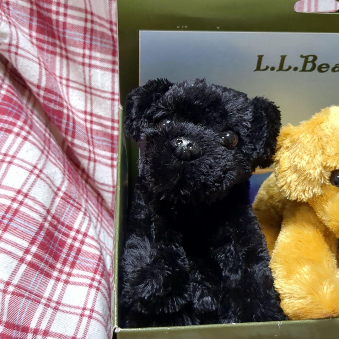☆AK☆L.L.Bean Bean's Little Labs 3体セット