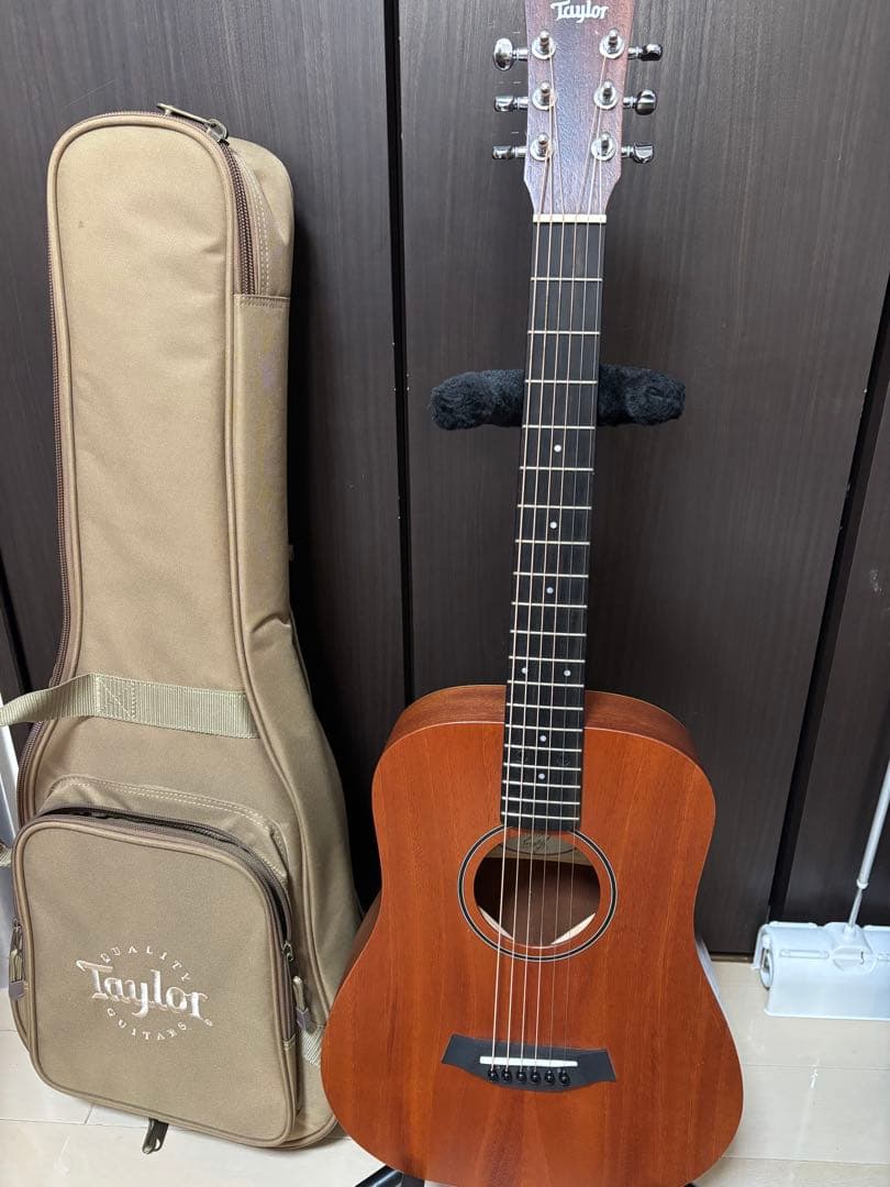 Taylor BT2E エレアコ