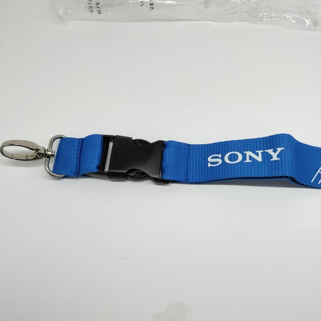 激レア 2010 南アフリカ W杯 FIFA×SONY 非売品 ネックストラップ