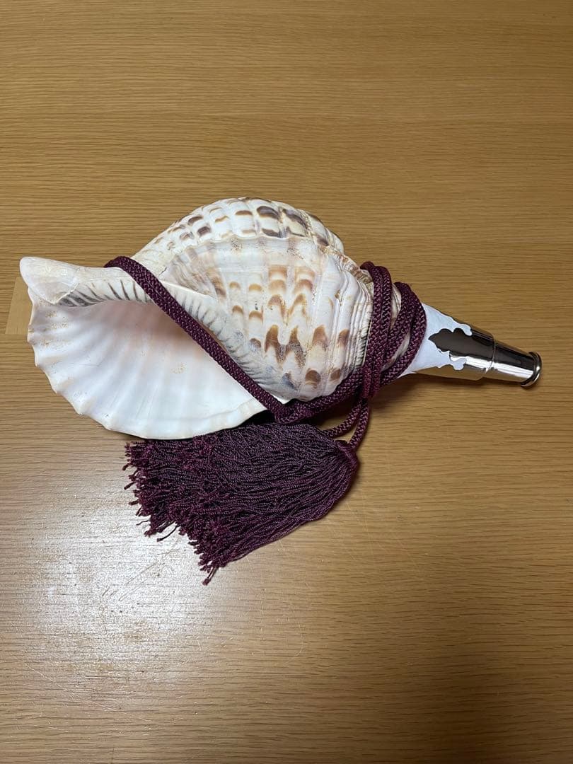 法螺貝　ほら貝