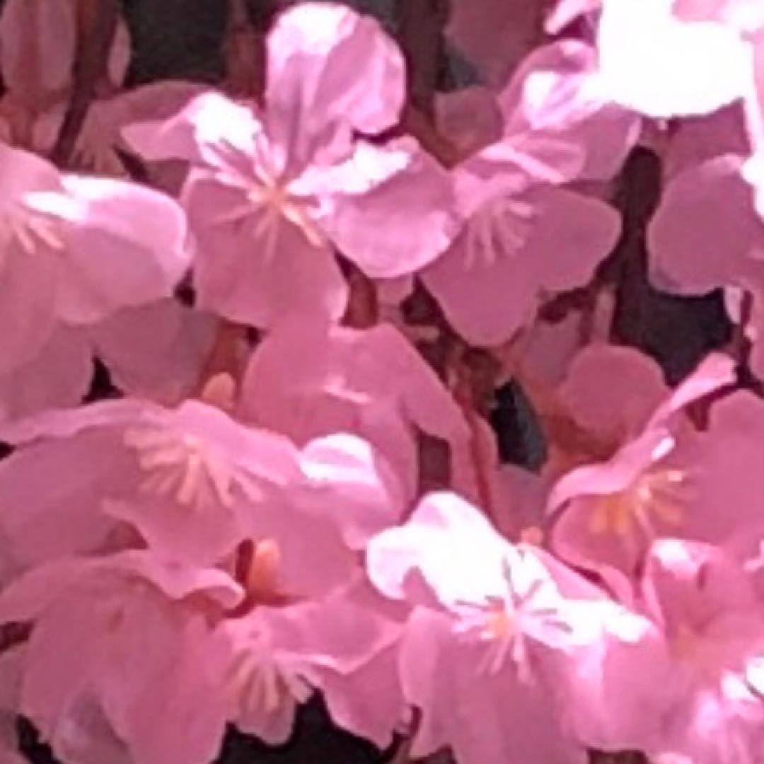 VCエッセンスMD & スポットドライMD 2本セット