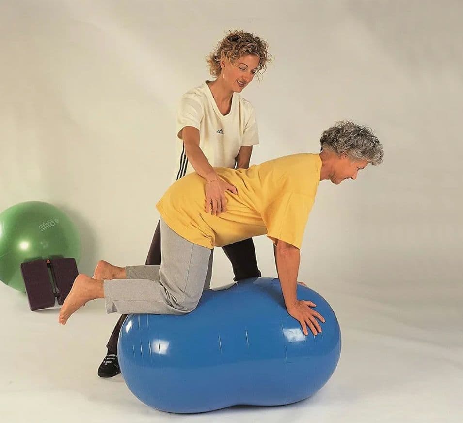 ギムニク フィジオロール 70cm 青いピーナッツ型バランスボール