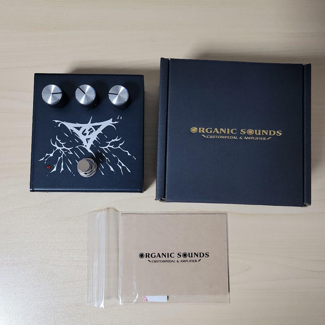 ギター Organic Sounds RAIN STORM