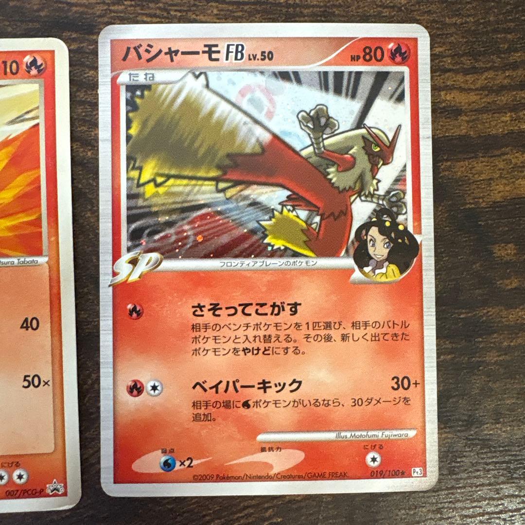 希少 愛知 万博ポケパーク限定カード ポケモンカード 限定プロモ9枚