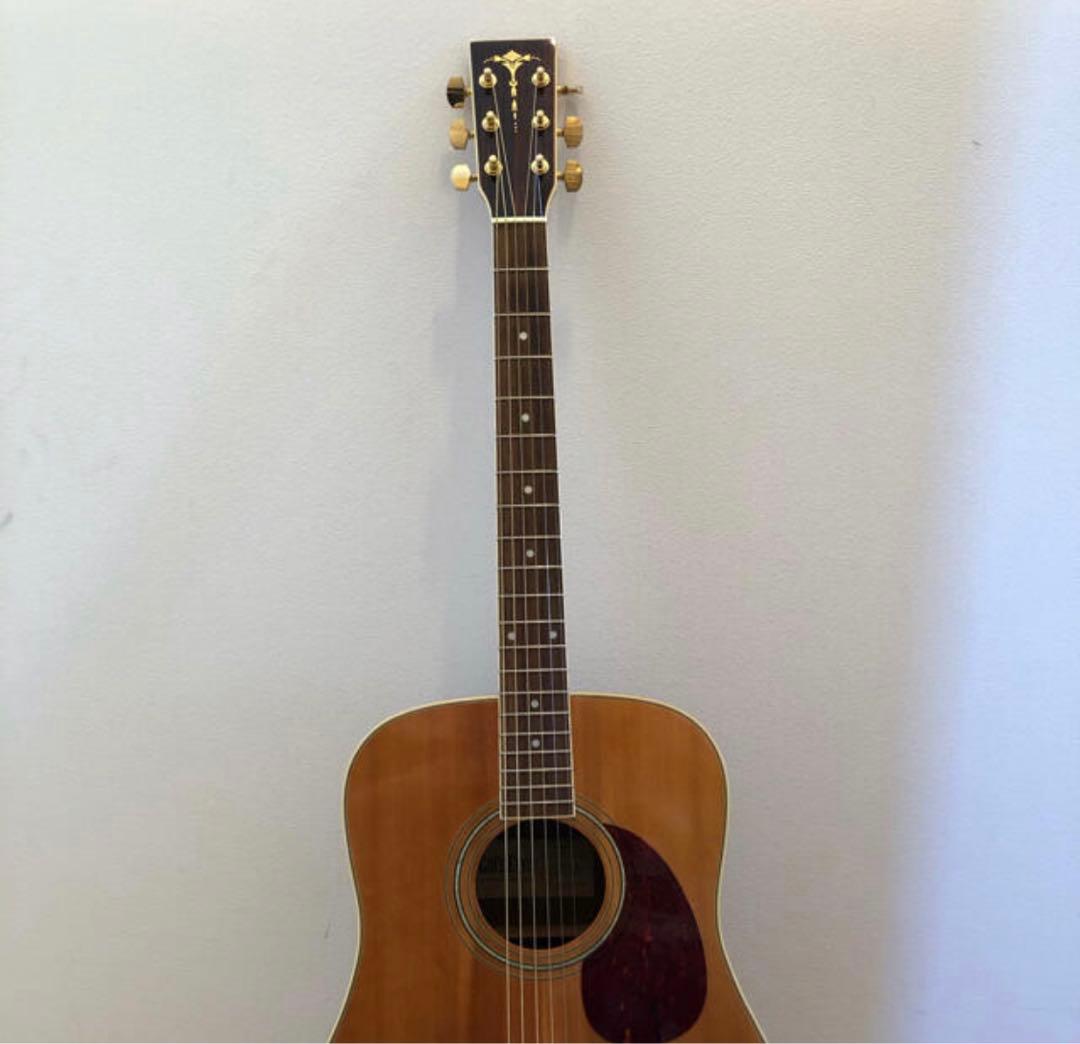 キャッツアイ　アコギ