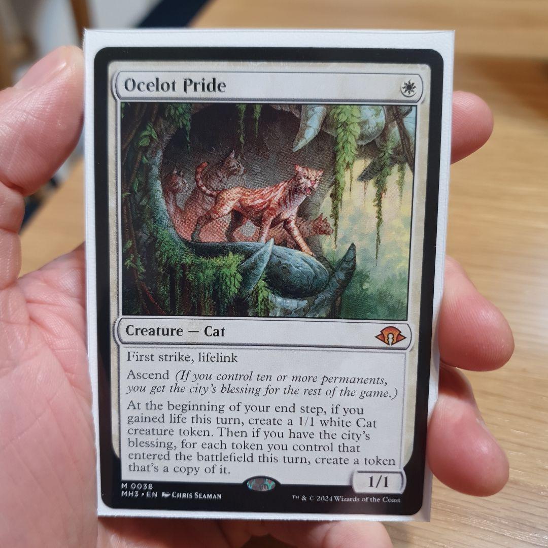 オセロットの群れ / Ocelot Pride - メルカリ