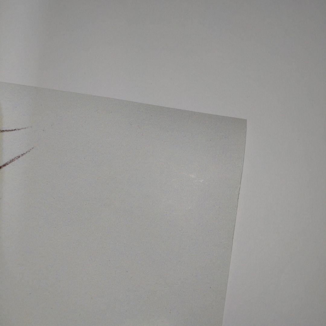 覇王大系リューナイト / アデュー・レジェンド 非売品ポスター ラジオ