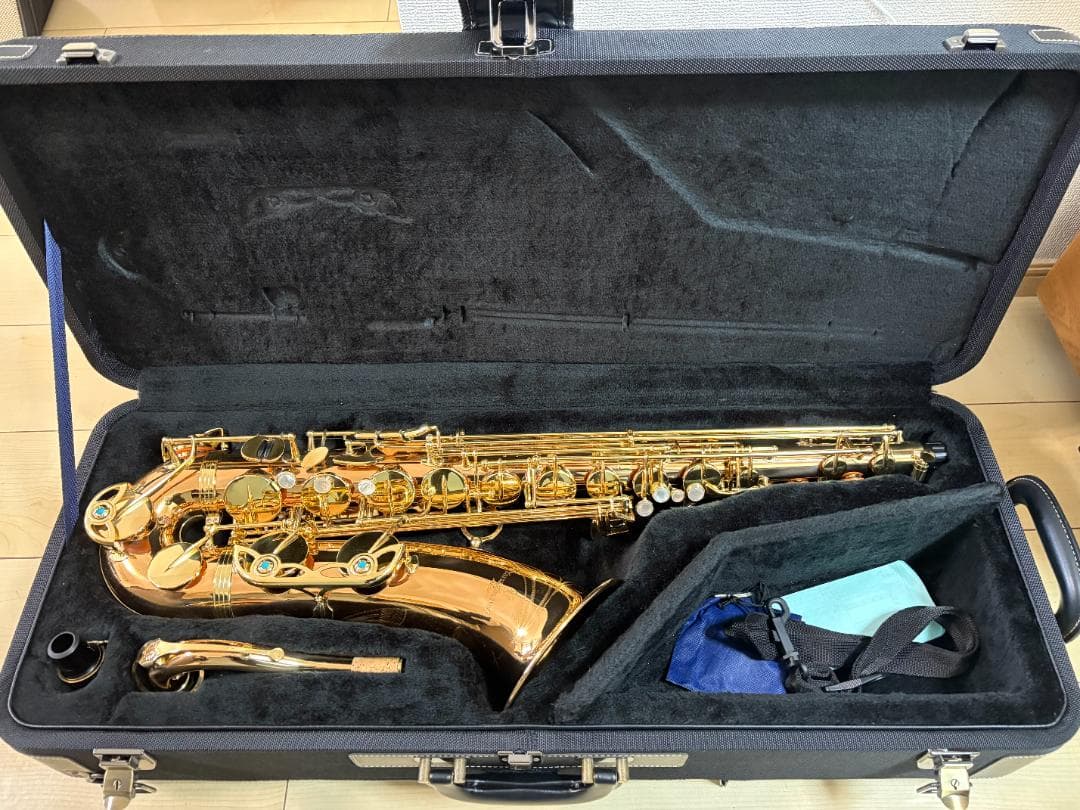 【本日限り】 YANAGISAWA T-WO2　テナーサックス 在庫あり】 YANAGISAWA T-WO20 初心者セット テナーサックス