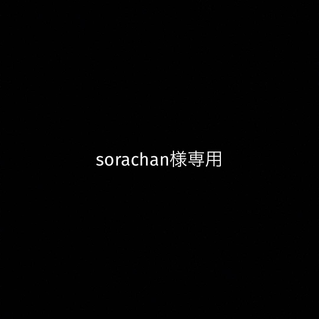 語学・辞書・学習参考書 sorachan