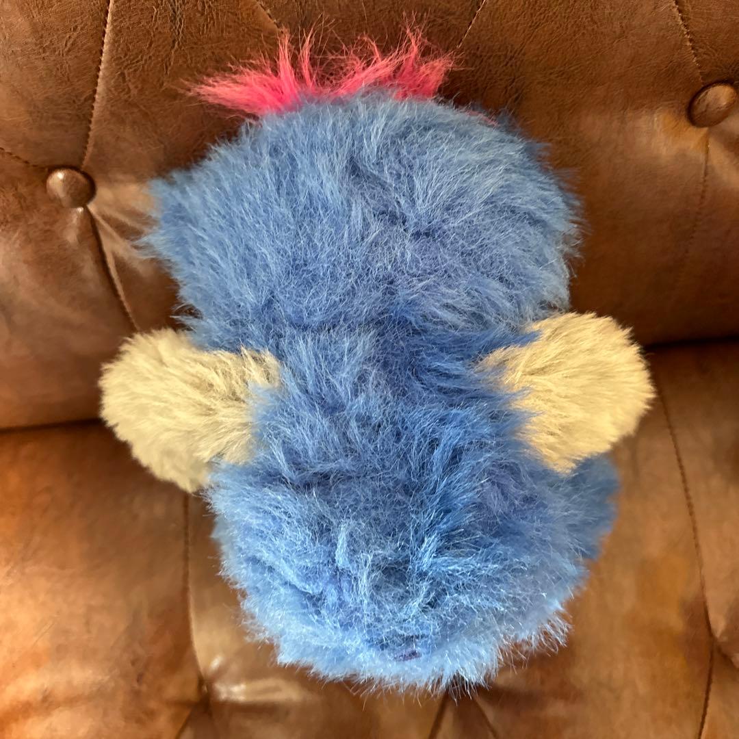 LOS TEMBLORS ロステンブラーズ