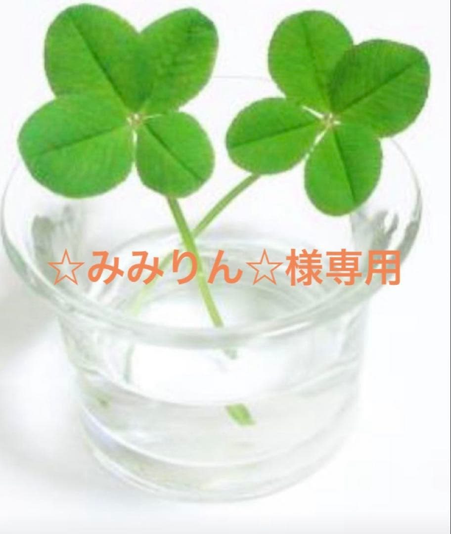 ☆みみりん☆