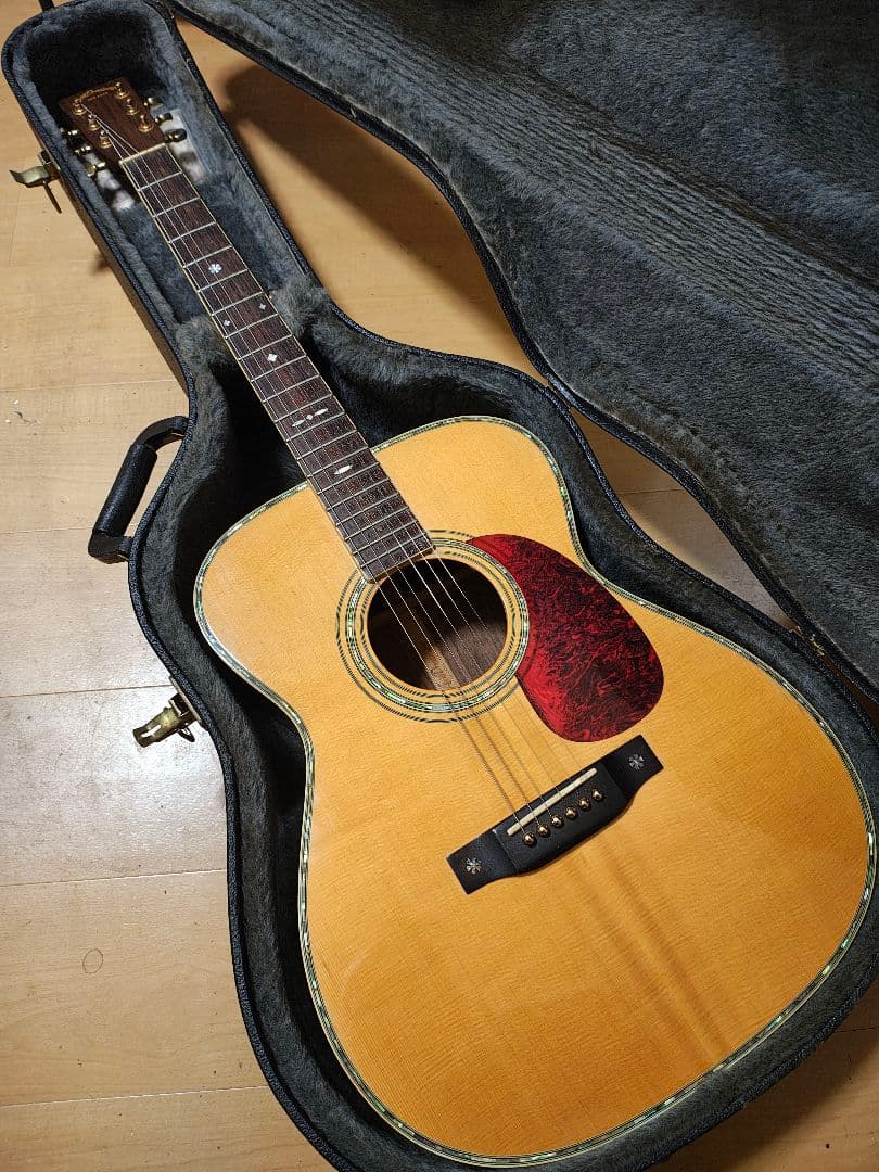 オール単板/Aria AF60/ハードケース 楽天市場】セミアコースティック ギター用 ハードケース ARIA アリア