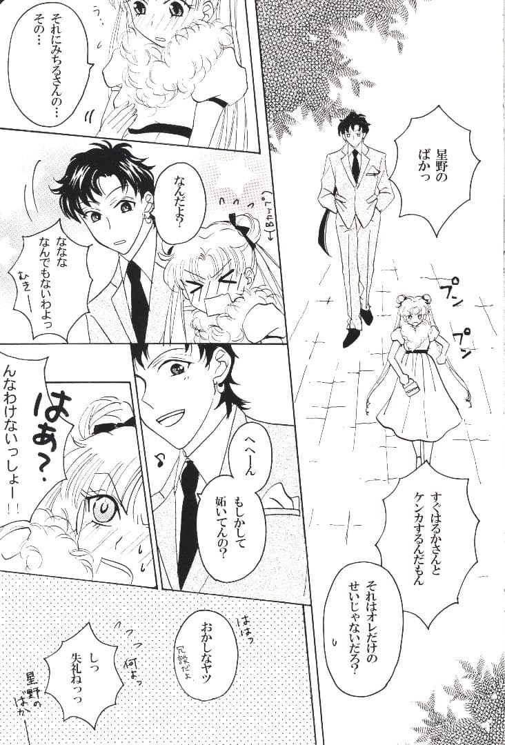 ☆96☆【スリーライツ&星うさ 4冊】セーラームーン 同人誌 星野光