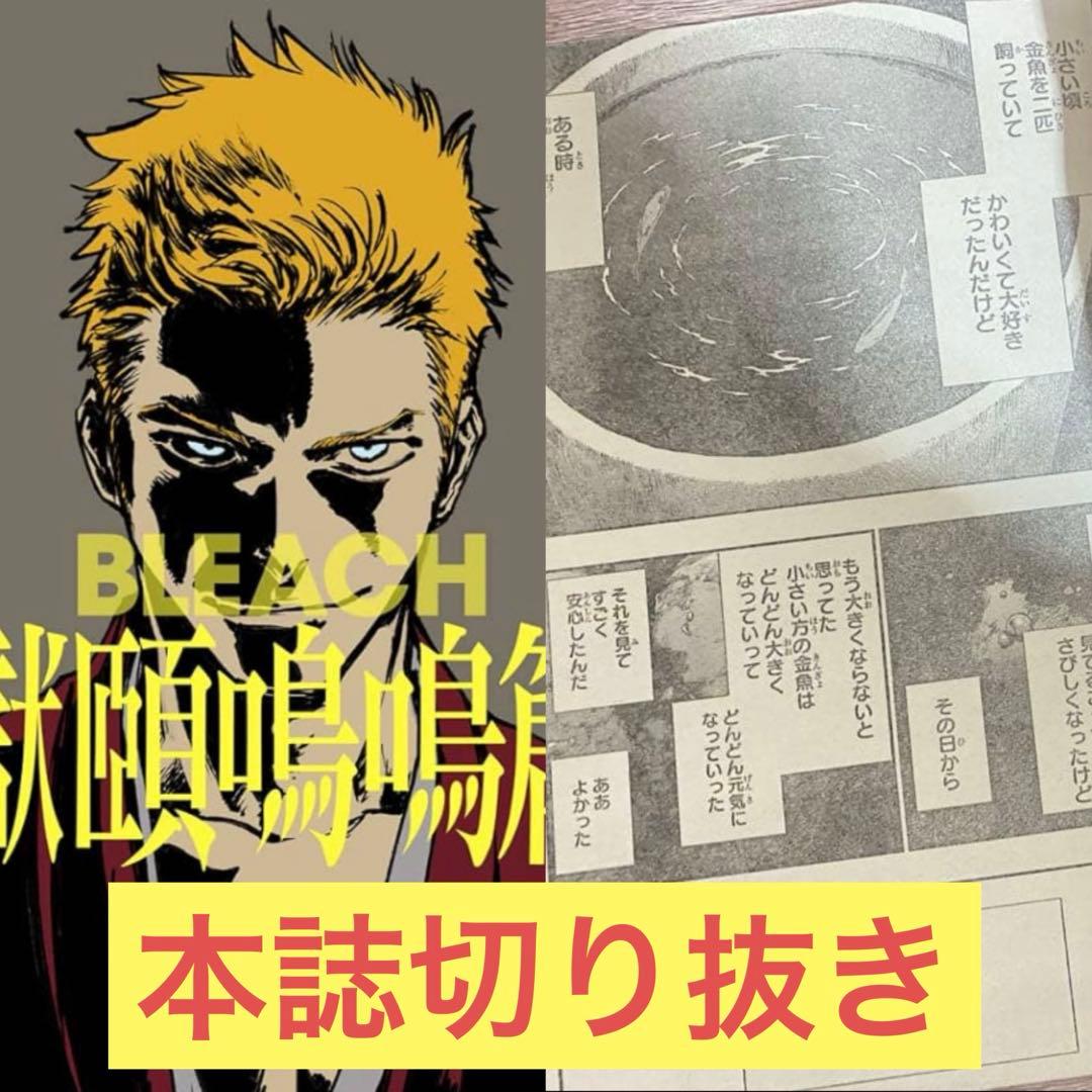 bleach ブリーチ　獄頤鳴鳴篇　本誌　切り抜き　黒崎一護