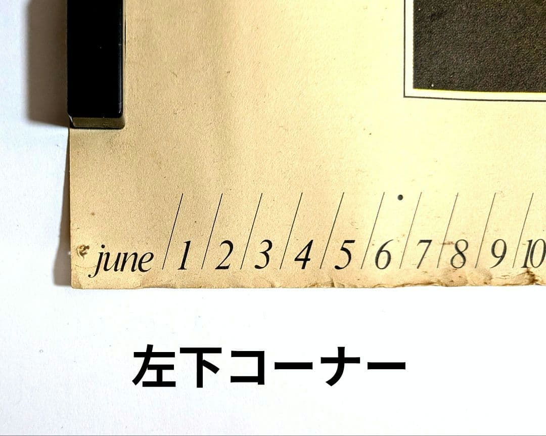 ヴァン ヂャケット 1976年 ノベルティ シーン ポスター 操上和美 撮影作品