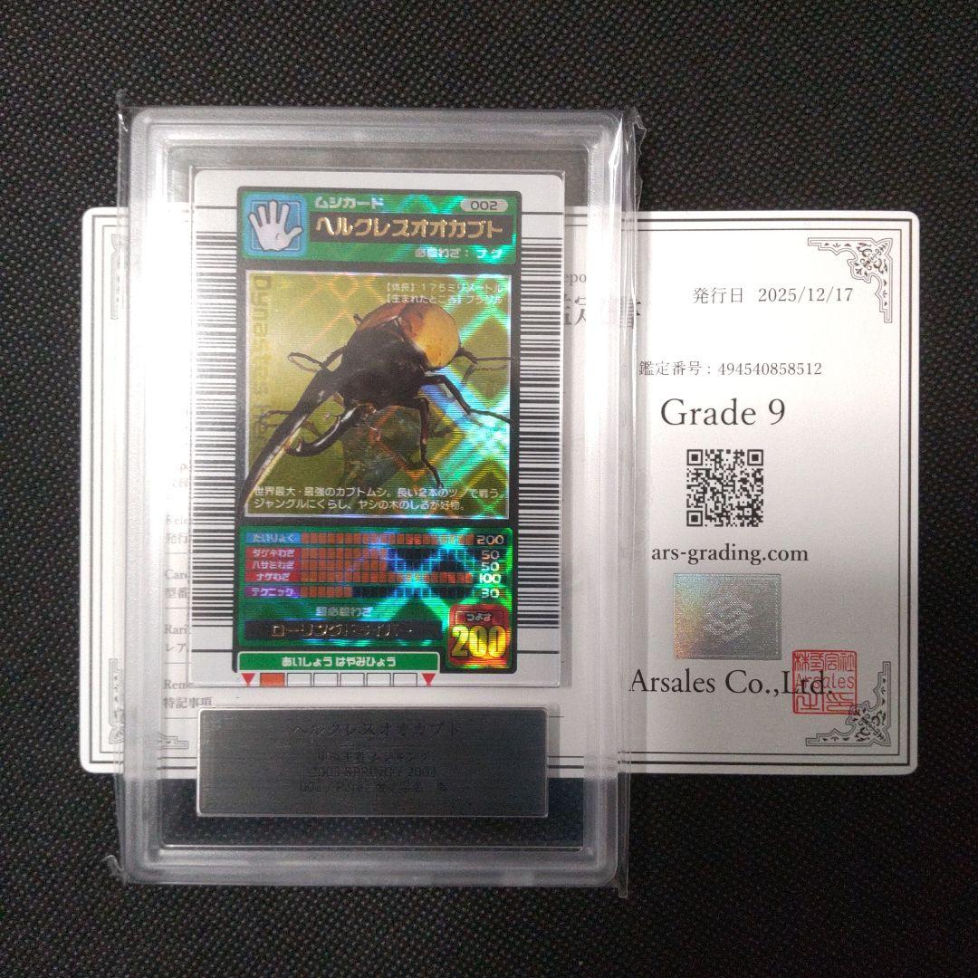 ヘルクレスオオカブト 2003 SPRING 春 ARS9