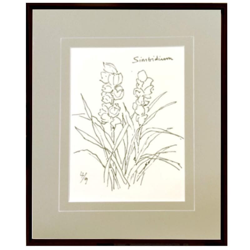 ☆坂本直行☆「 Sinbidium(シンビジウム） 」ペン画　大衣　未使用!