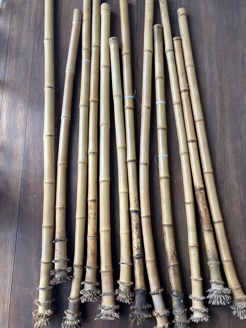 尺八自作用　30年物の天然竹　10本