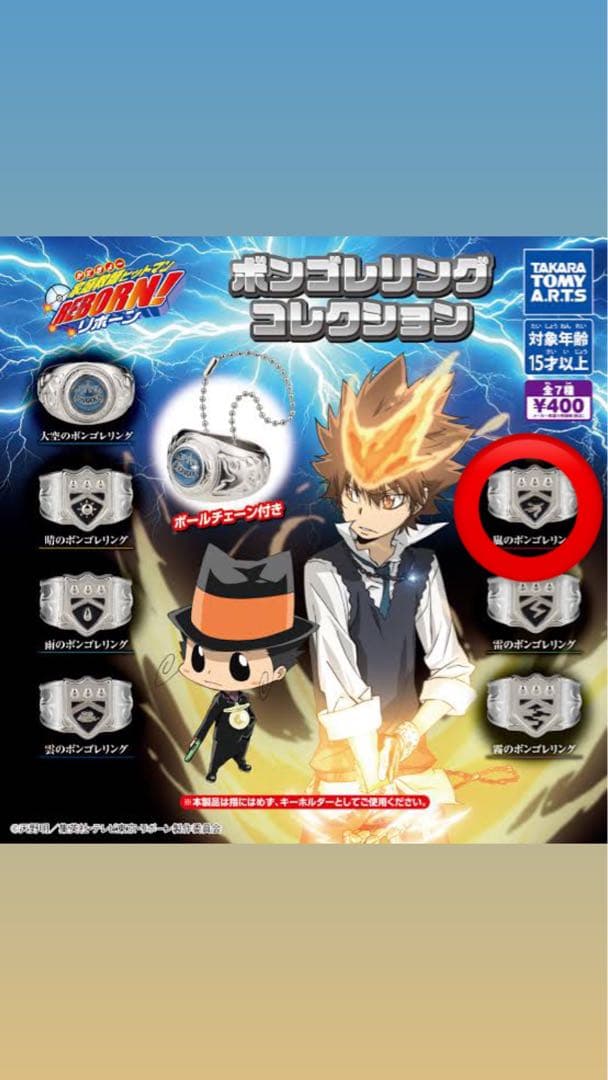 家庭教師ヒットマンREBORN ボンゴレリング 獄寺隼人 - メルカリ