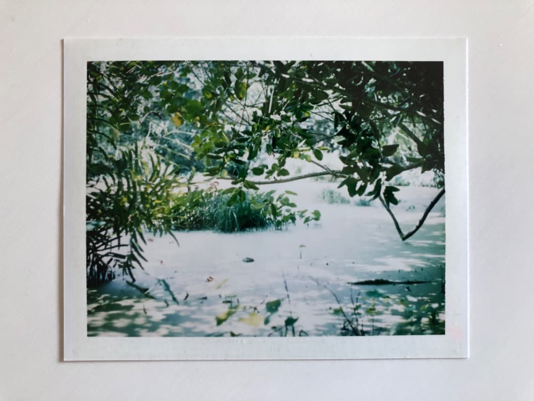 【超貴重】Mark Borthwick ポラロイドプリント《直筆サイン入り》