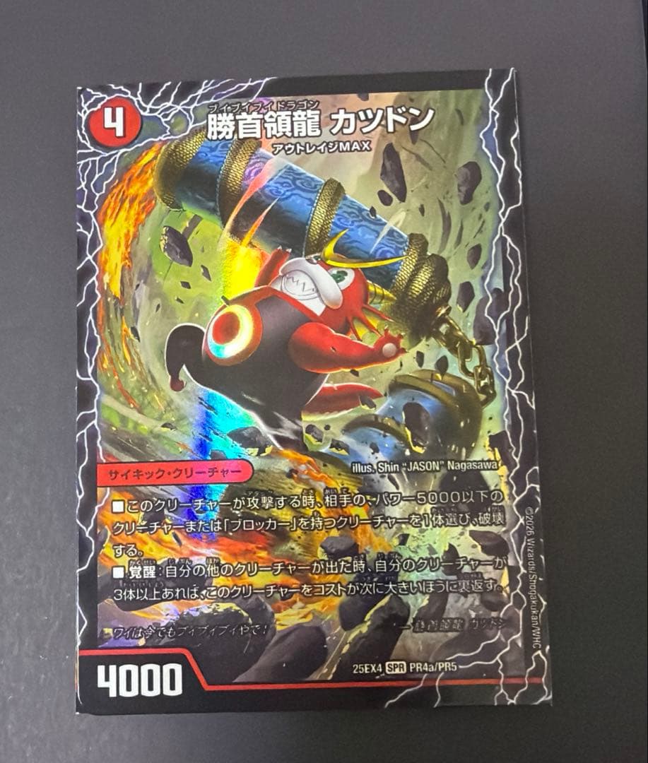 勝首領龍 カツドン 勝首領将軍 カツキング 最終勝首領 カツマスター