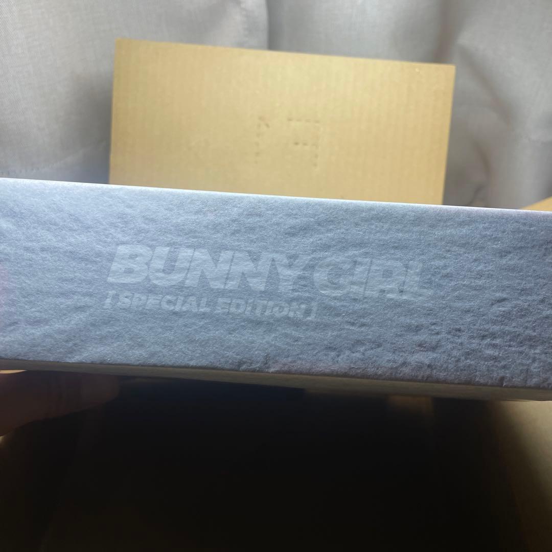 黒バニーガール　アイリン