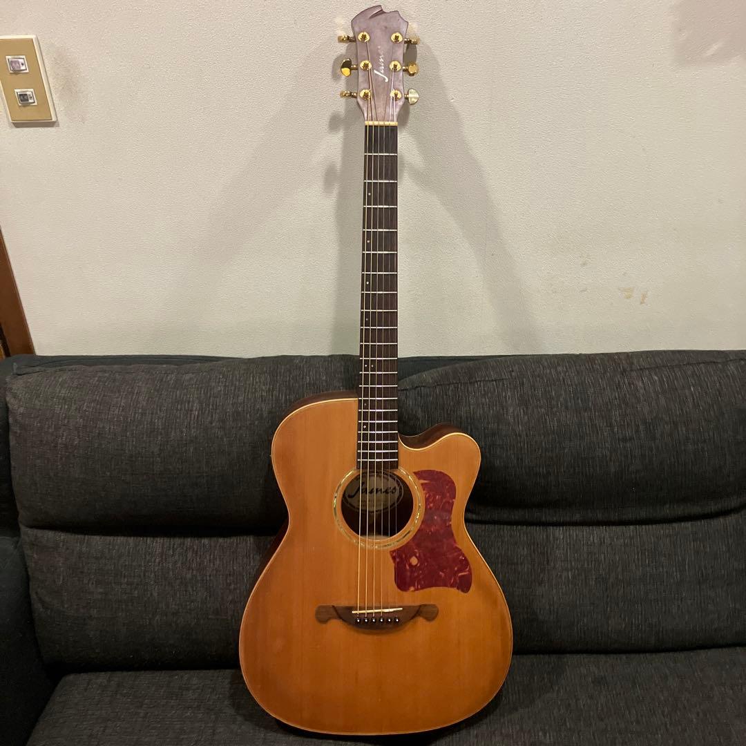 James ジェームス JE100NS ハイエンドモデルあいみょん