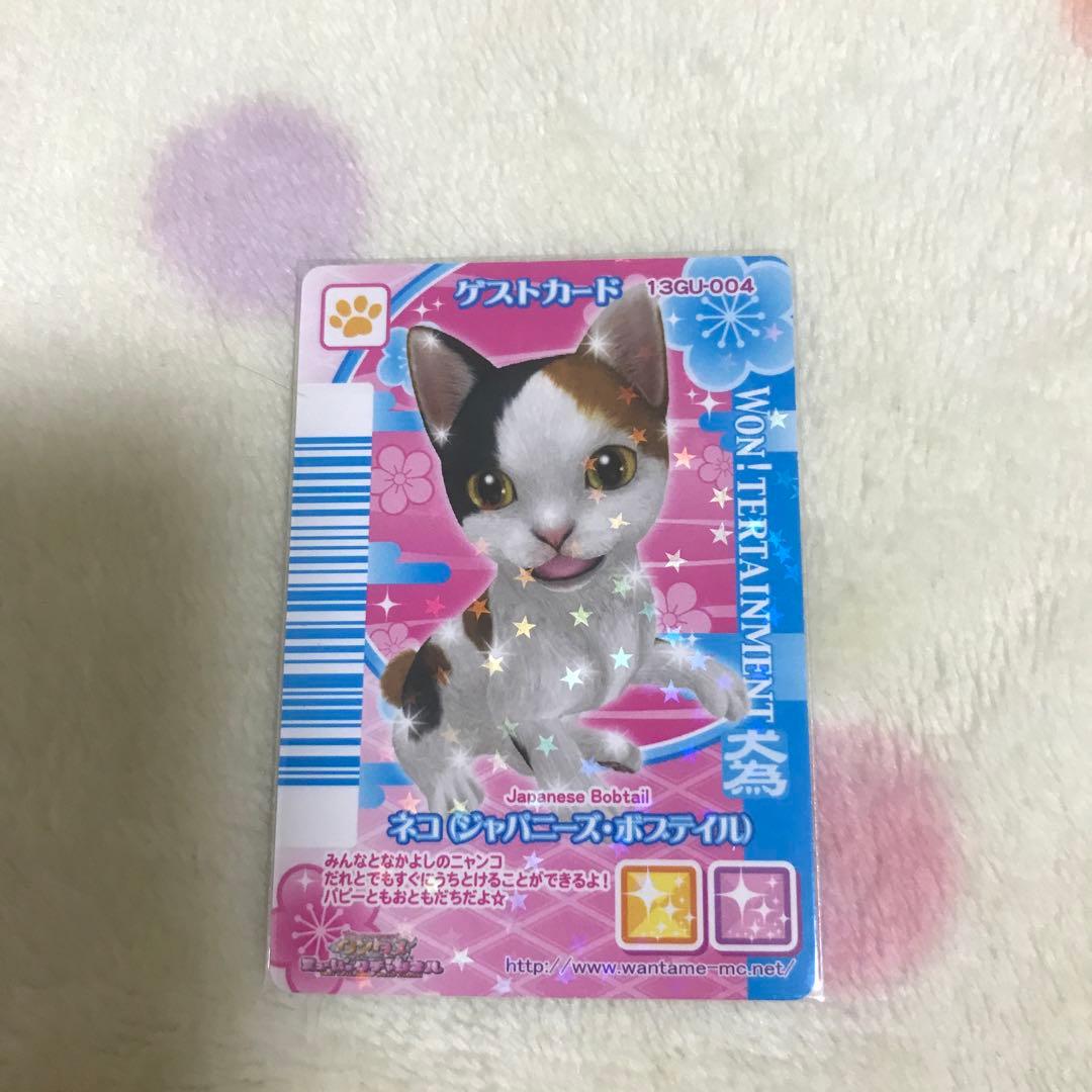 ワンタメカード ゲストカードねこ3種 - メルカリ