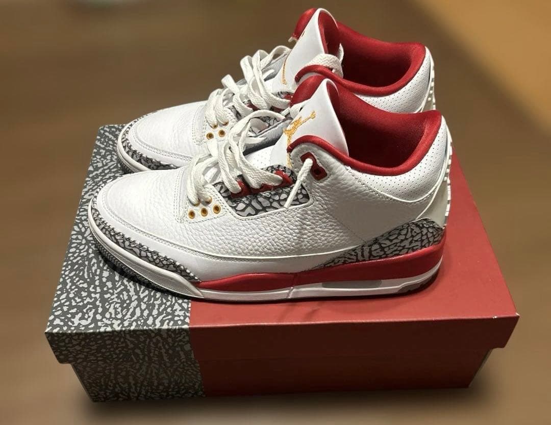 NIKE ナイキエアジョーダン3 レトロ 25cm