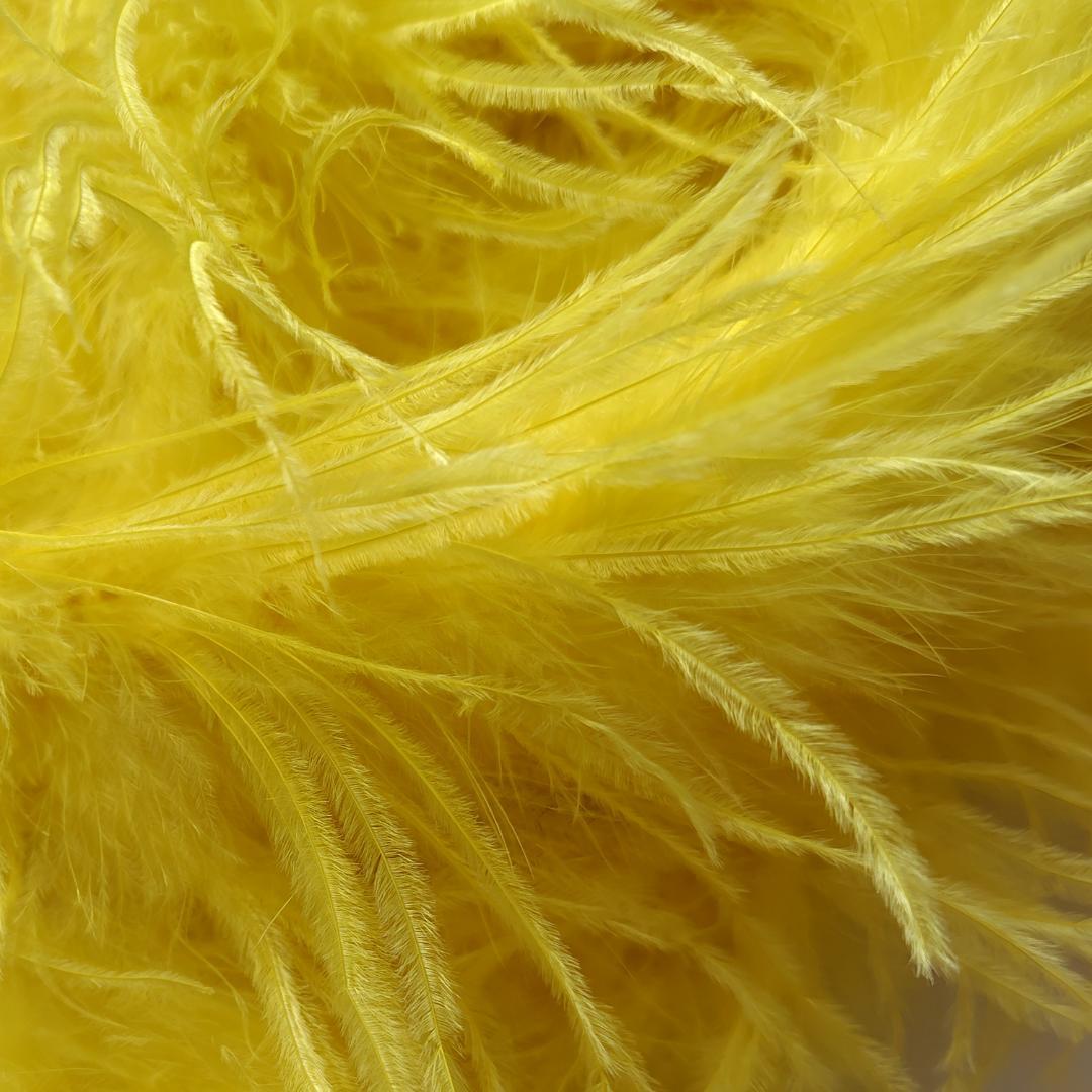 【ツル】3PLY オーストリッチ　黄色 OSTRICH（イエロー/黄色系）のフリマアイテム一覧