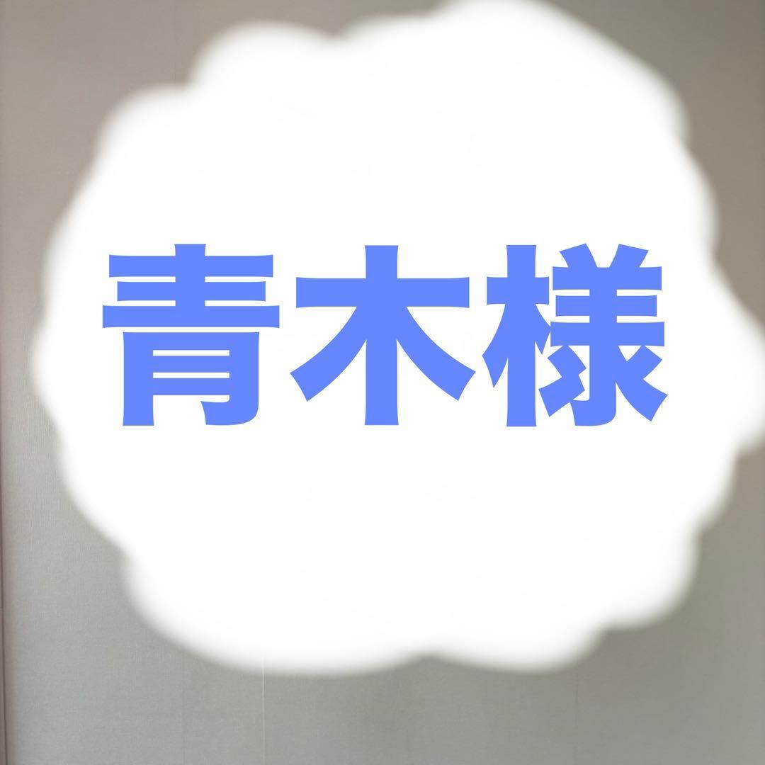 【青木様】イオン美顔器 イオンブースト　マルチ EX　 EH-SS85