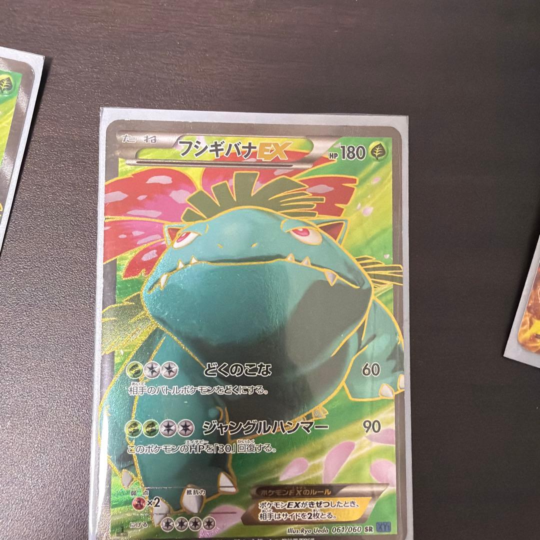 フシギバナEX SR XY1