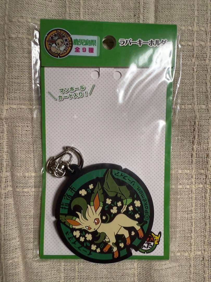 ポケふた ポケモンマンホール ラバーキーホルダー ブイズコンプリート