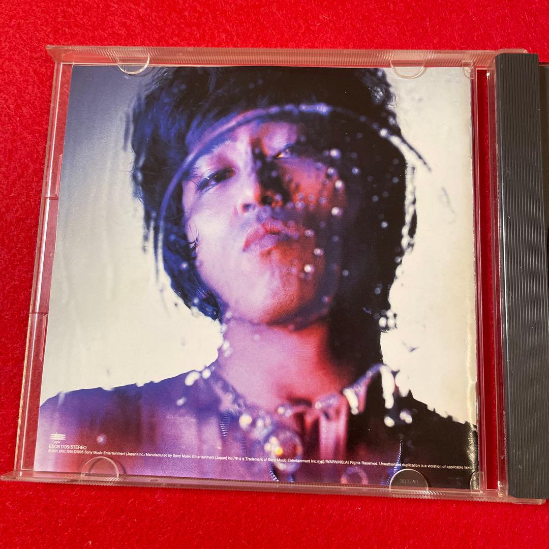 岡村靖幸 / 禁じられた生きがい - メルカリ