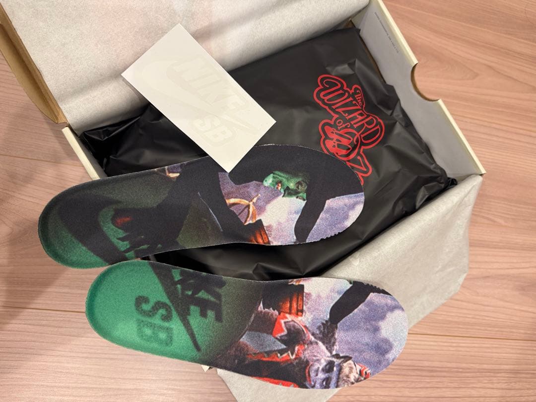 ✨新品✨ナイキSBダンク ロー プロ QS 【オズの魔法使い】メンズ スニーカー