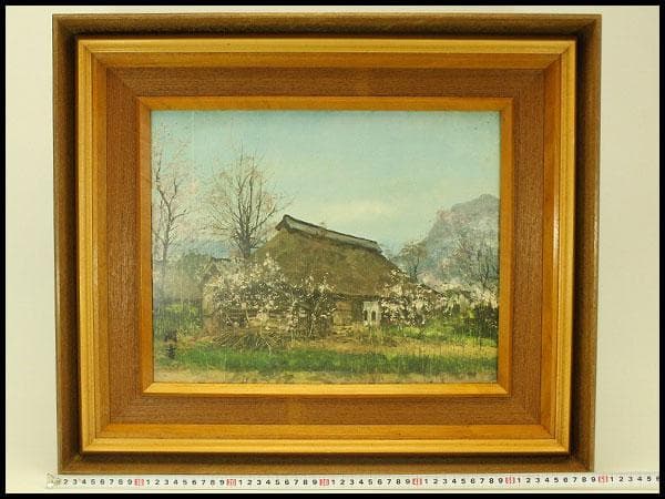 油絵調 レリーフ工藝画 田舎の風景 室内調度 壁飾り(ZE436) Amazon.co.jp: 絵画 花と緑の芝生に囲まれた家インテリア 絵画 のどか